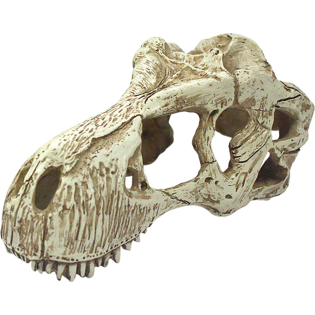 Komodo T-Rex Skull (NATURAL, LG)