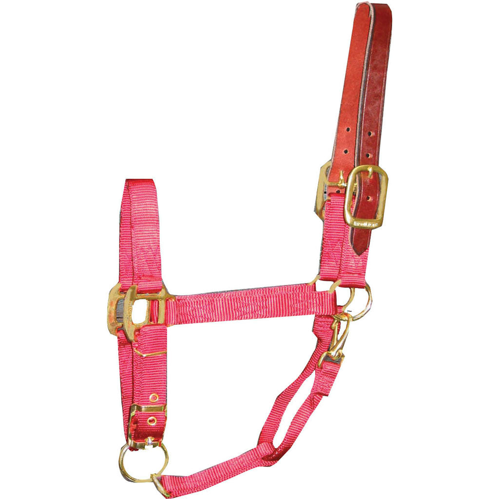 Hamilton Adjustable Halter W/Leather Headpole (RED, SM)