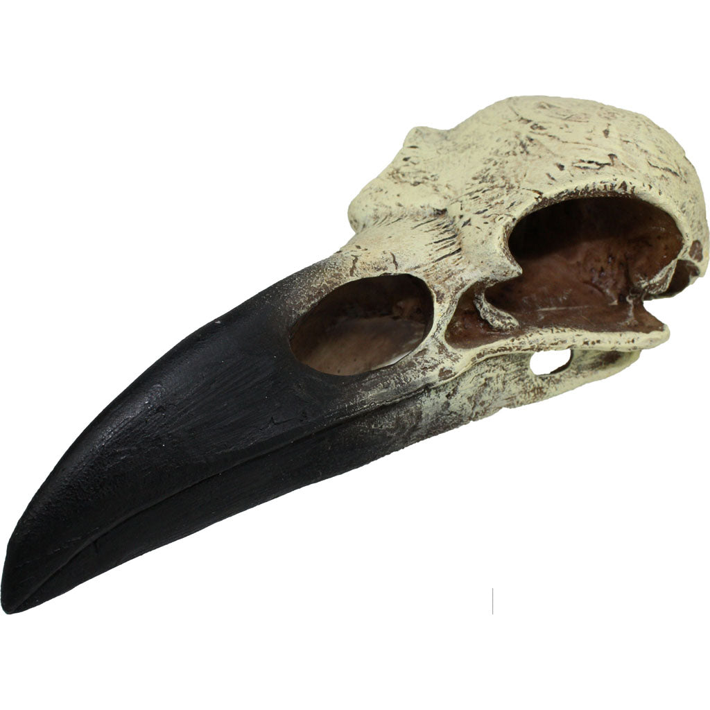 Komodo Raven Skull (NATURAL, LG)