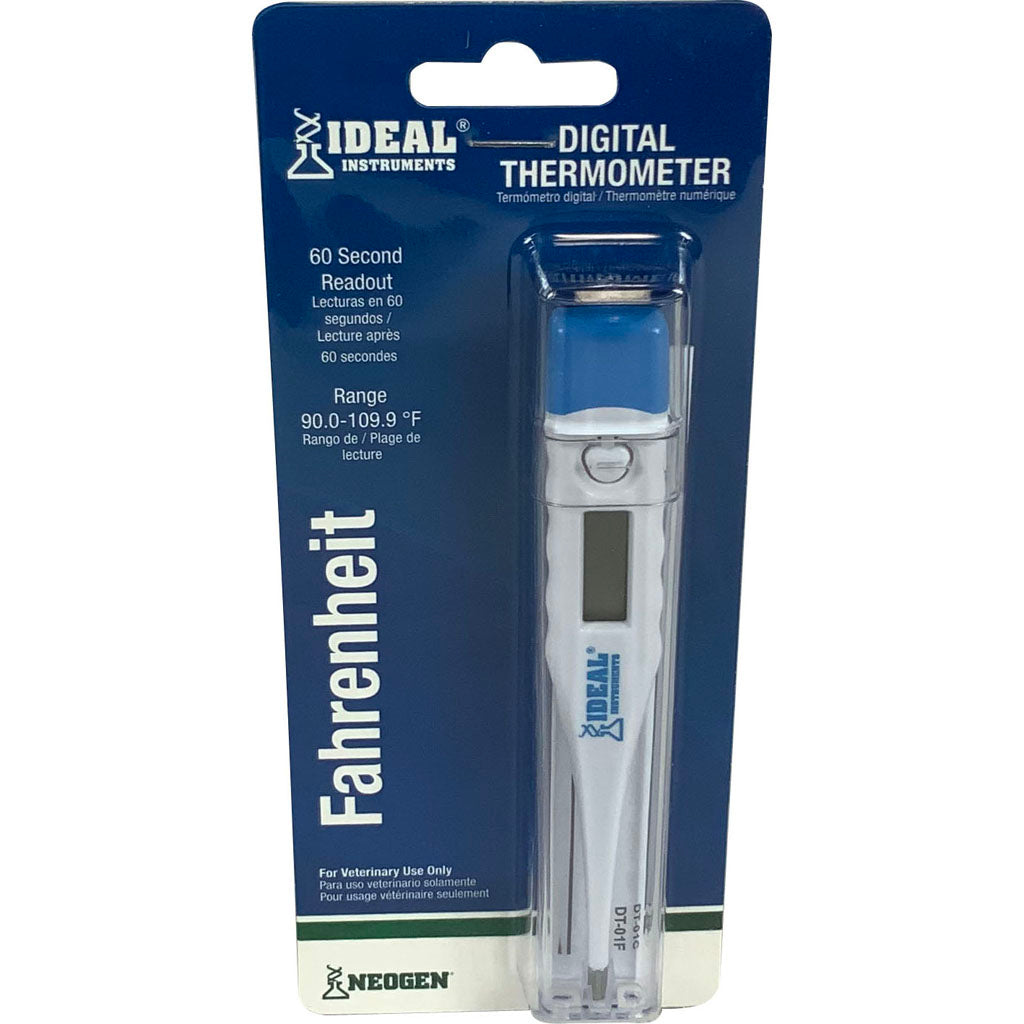 Digital Thermometer W/Hard Plastic Case (5 IN)