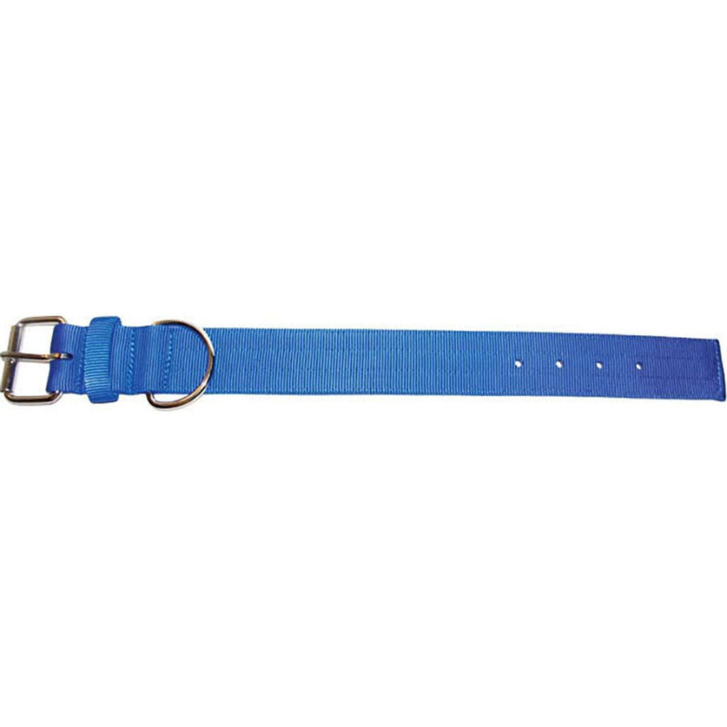 Bravo 2 Ply Nylon Dog Collar (BLUE, 2 X 25 IN)