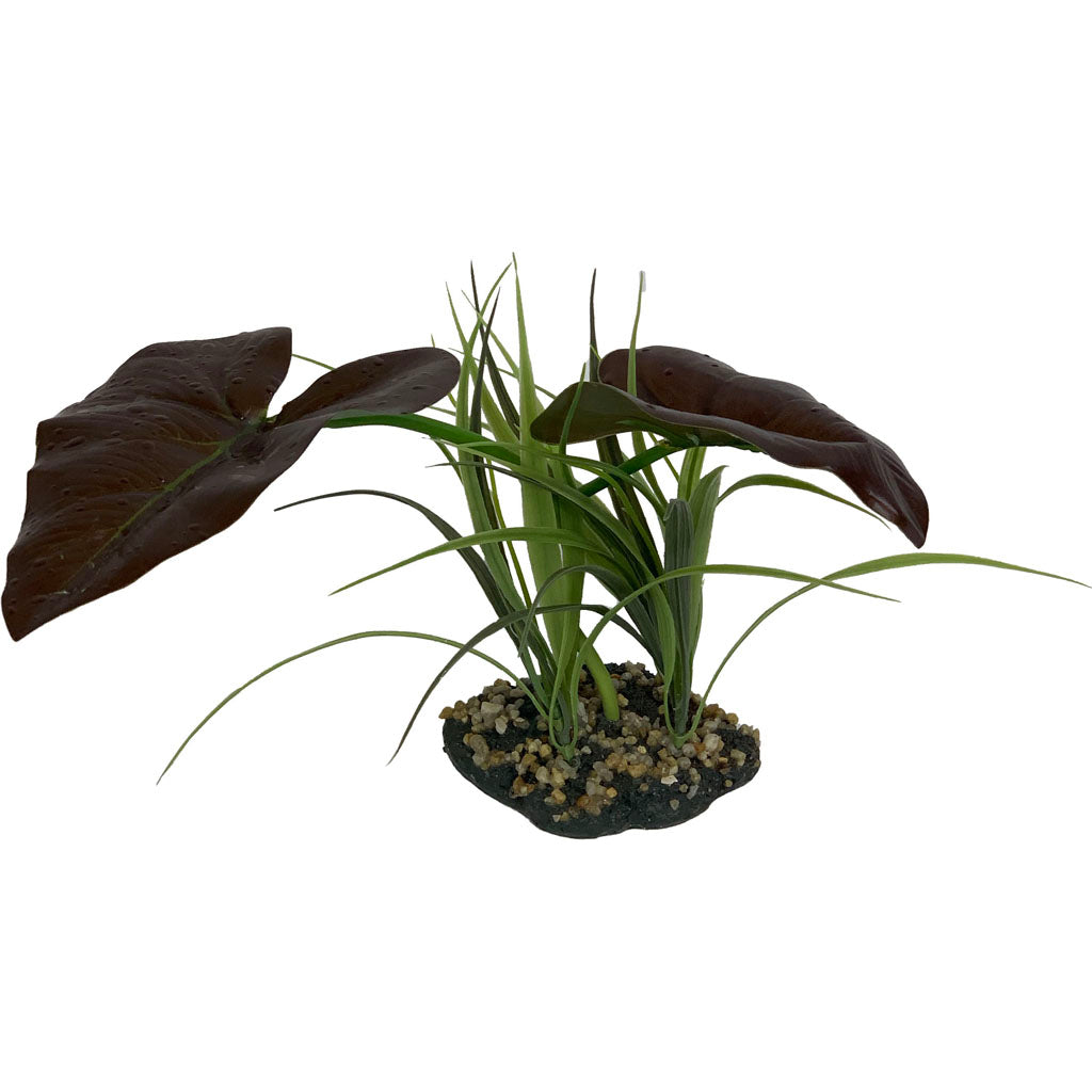 Komodo Rainforest Canopy Plant (GREEN/BROWN, SM)