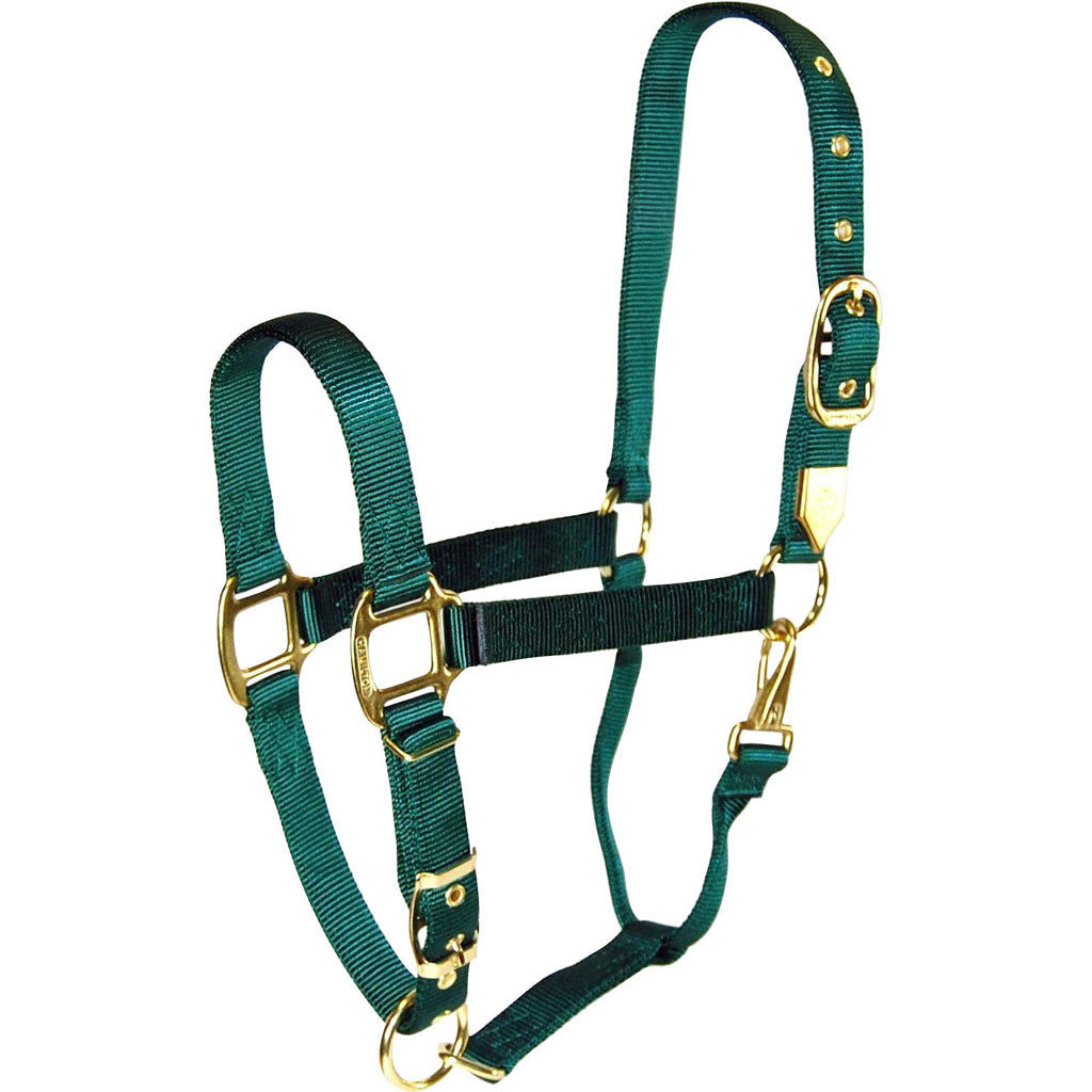 Hamilton Adjustable Chin Halter W/Snap (HUNTER GREEN, LG)