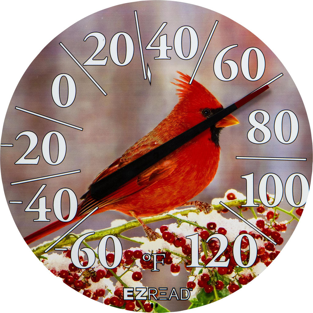 Ezread Indoor/Outdoor Dial Thermometer (WINTER CARDINAL, 12.5 IN)