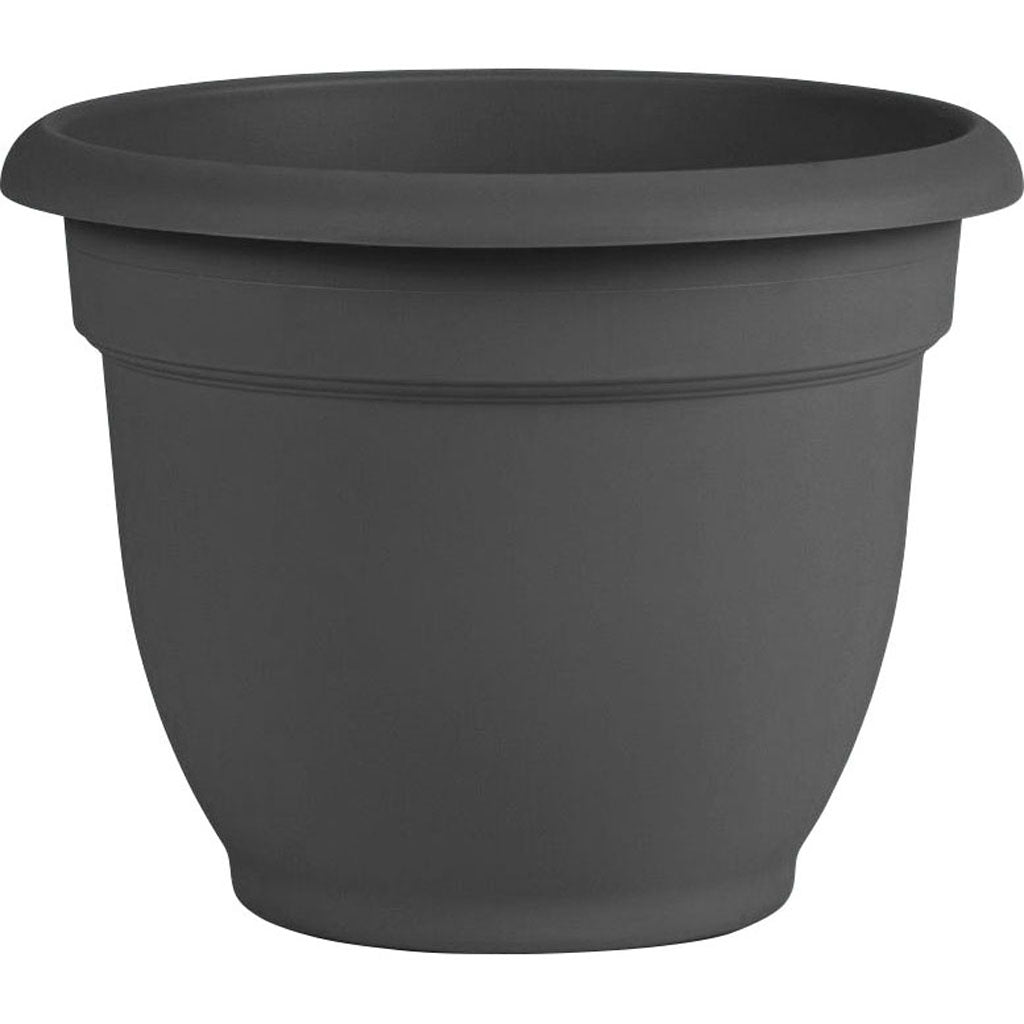 Bloem Ariana Planter (CHARCOAL, 10 IN)
