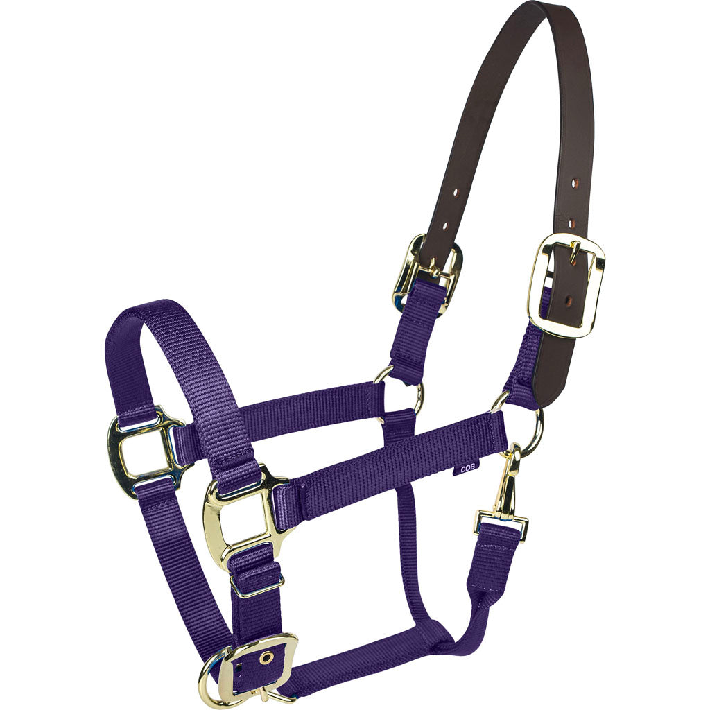 Gatsby Gold Nylon Breakaway Halter (PURPLE, HORSE)