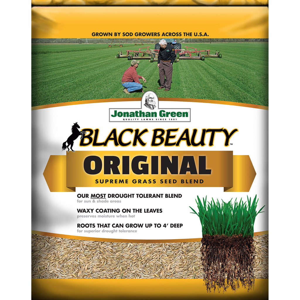 Black Beauty Tall Fescue Grass Seed Mixture (4500 SQ FT-15 L)