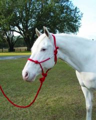 Hamilton Adult Rope Halter W/Lead (RED, AVG)