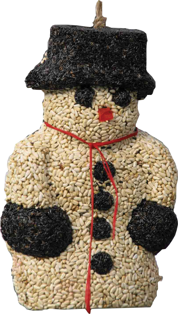 Pine Tree Farms Mr Sno E Mann Seed Wreath (1.8 LB)