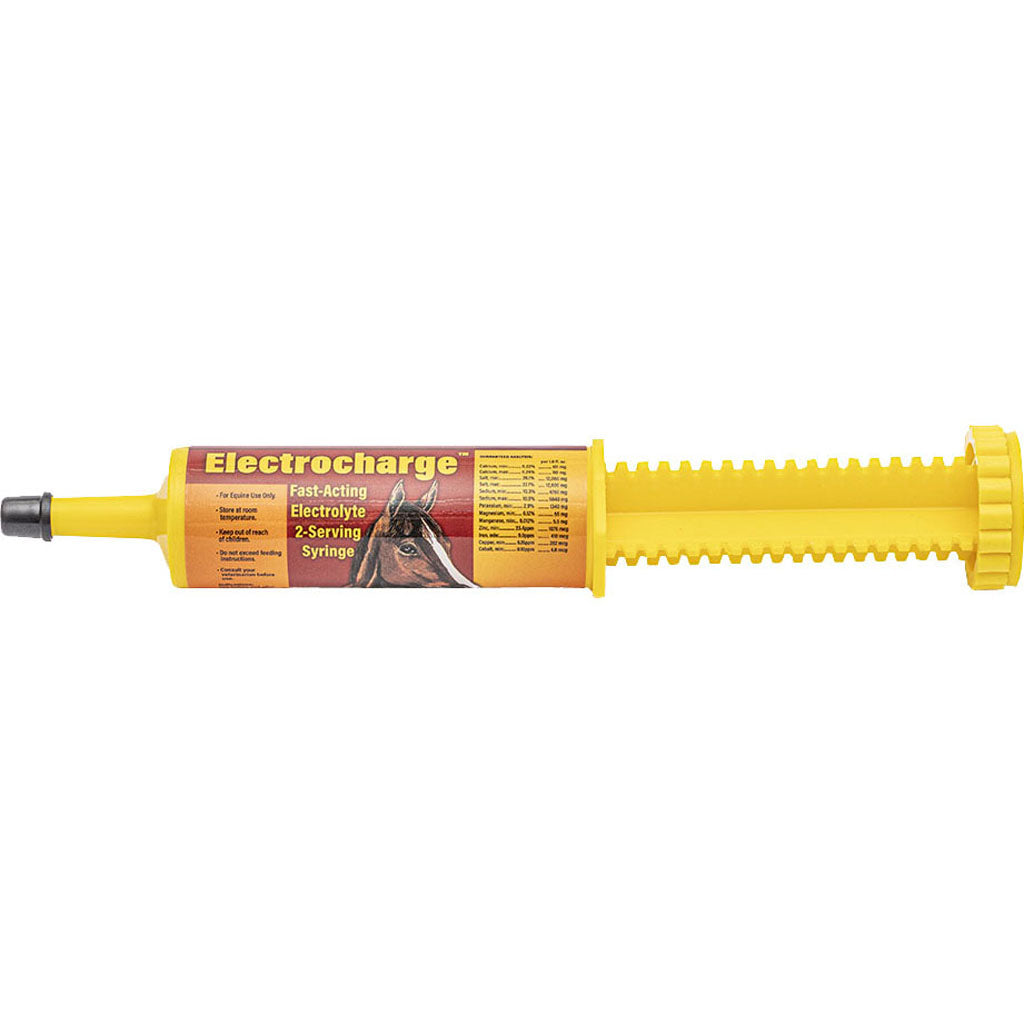 Finish Line Electrocharge Fast-Acting Electrolyte (2 OZ)