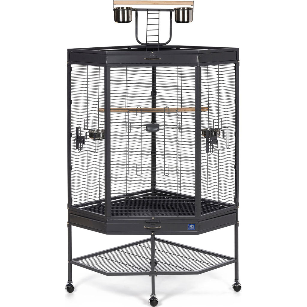Corner Play Top Bird Cage (37X27X65 IN)