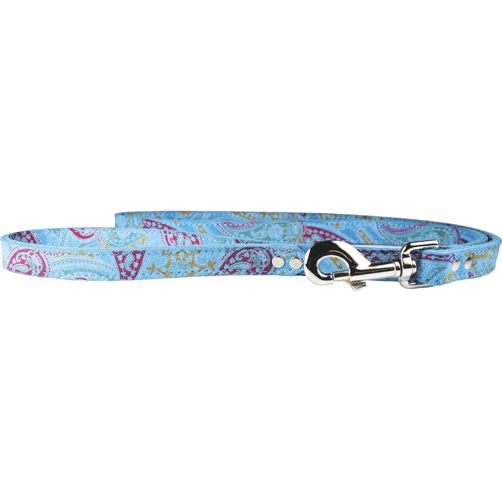 Leather Paisley Dog Leash (TURQUOISE, 3/4X4FT)