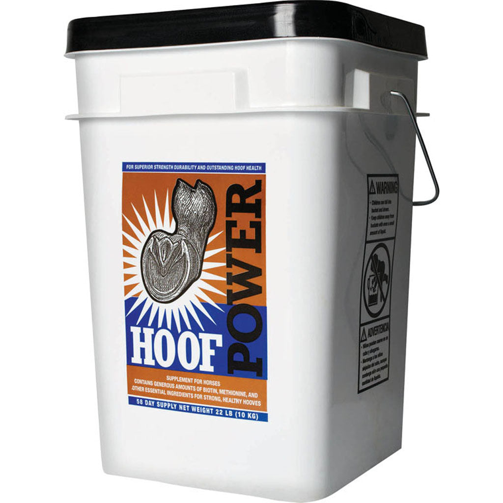 Mustad Hoof Powder (40 LB)