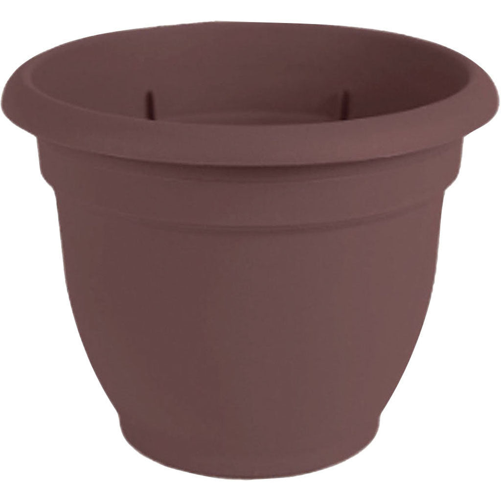 Bloem Ariana Planter (MERLOT, 8 IN)