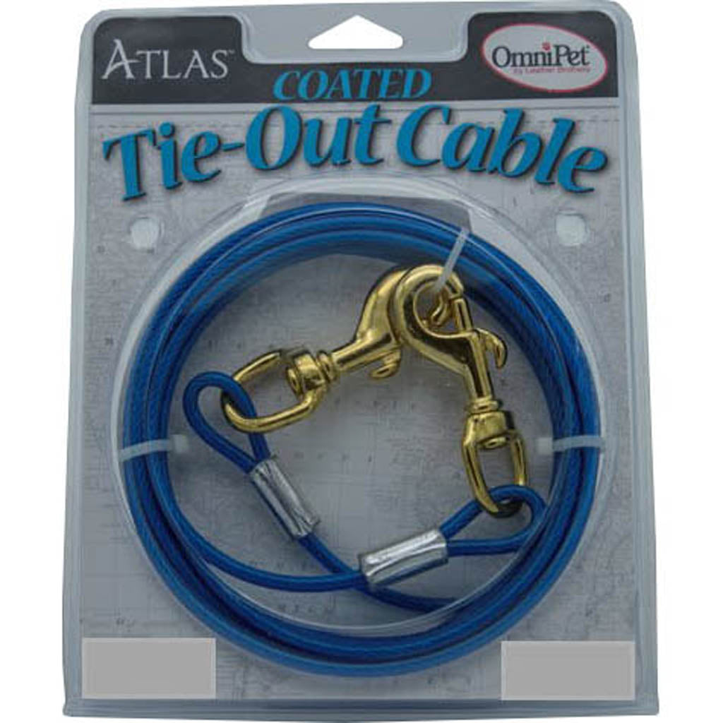 Cable Tie-Out (30 FT)