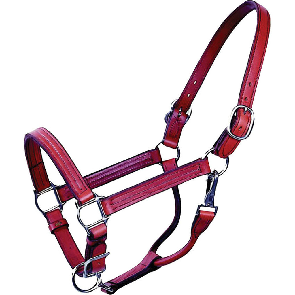 Beiler'S Track Halter (BROWN, HORSE)
