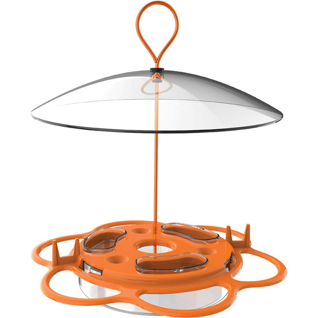 All-In-One Oriole Buffet (ORANGE, 12 OZ CAP)
