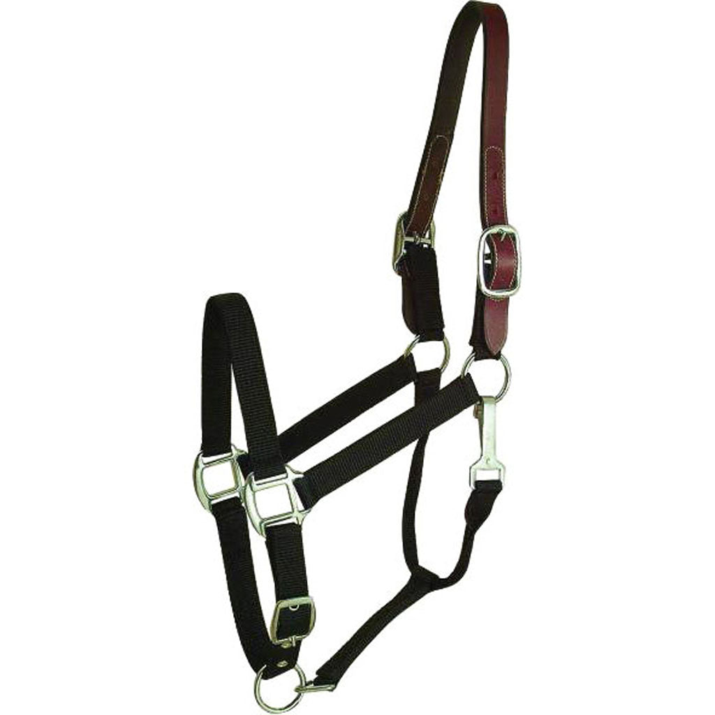 Gatsby Nylon Breakaway Halter (BLACK, HORSE)