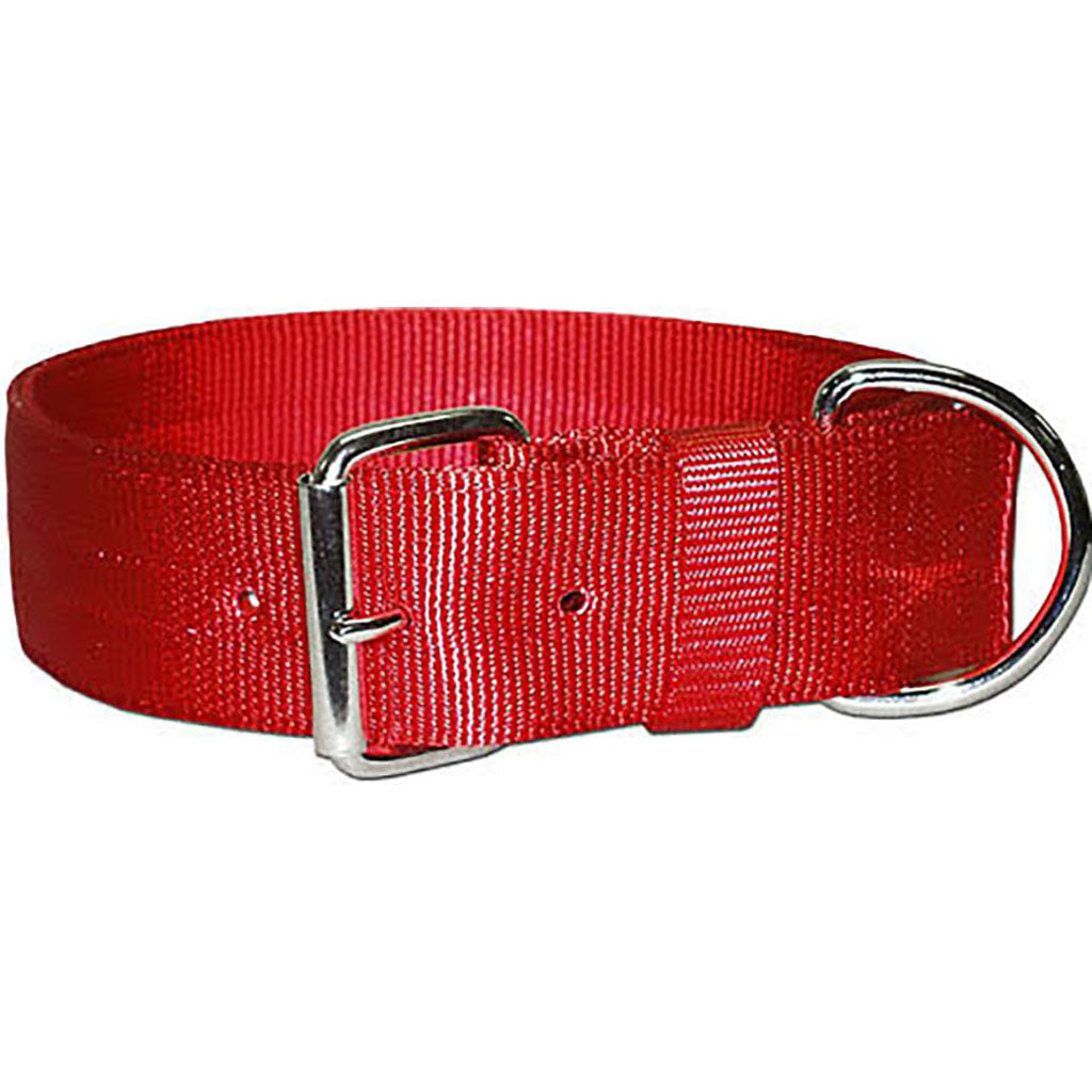 Bravo 2 Ply Nylon Dog Collar (RED, 2 X 21 IN)