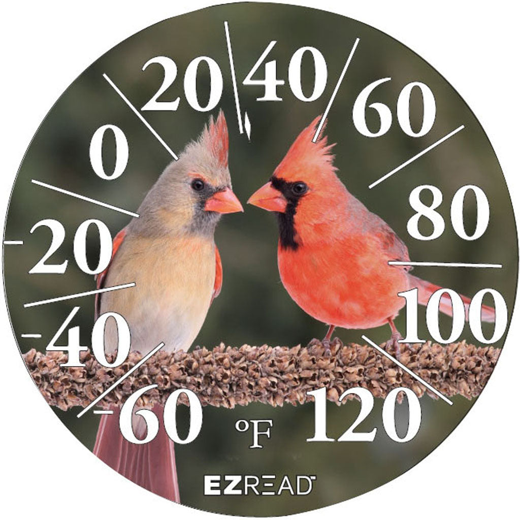 Ezread Indoor/Outdoor Dial Thermometer (CARDINAL, 12.5 IN)