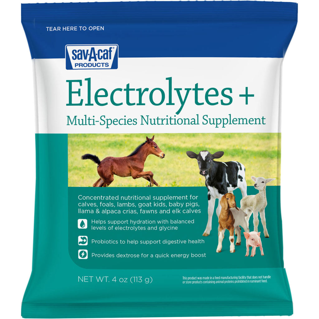 Electrolytes Plus Multi-Species Supplement (4 OZ)