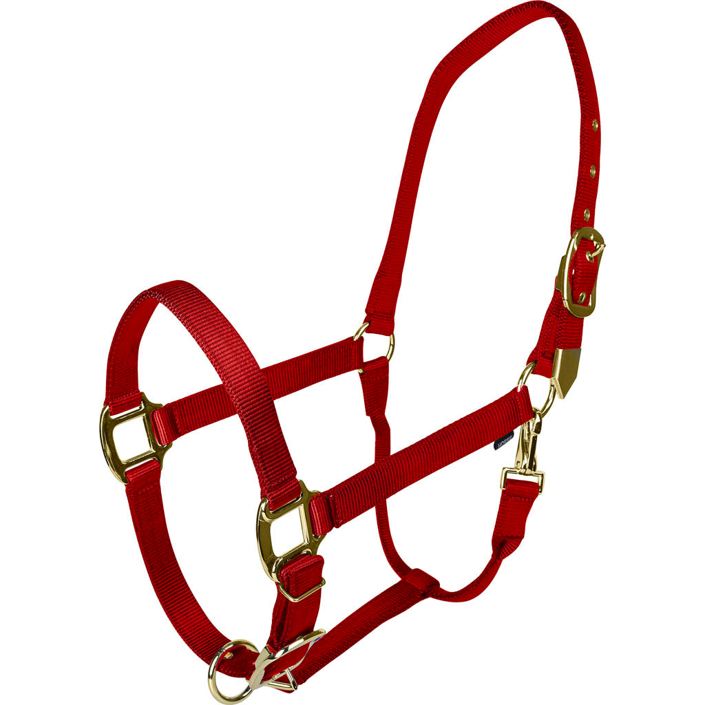 Gatsby Gold Adjustable Halter W/ Snap (RED, COB)