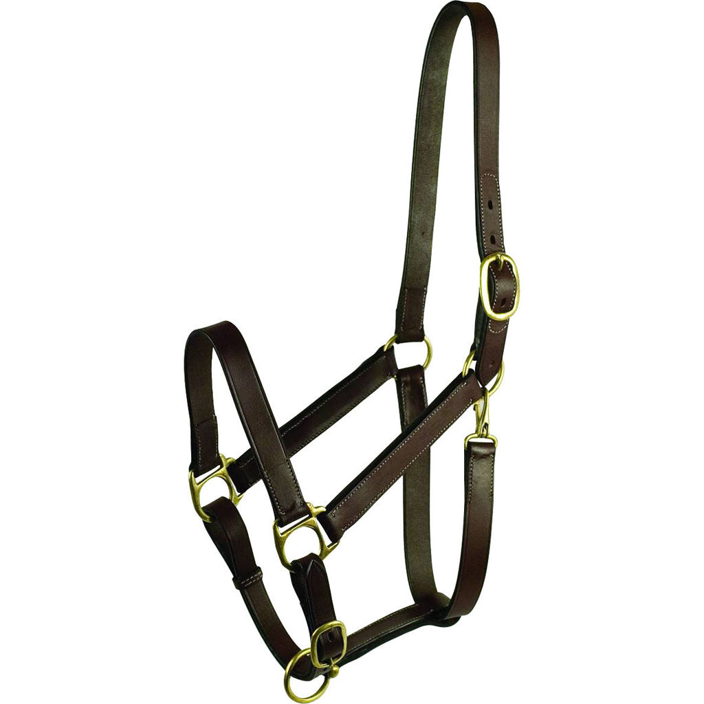 Gatsby Leather Adjustable Turnout Halter W/Snap (HAVANA, SUCKLING)