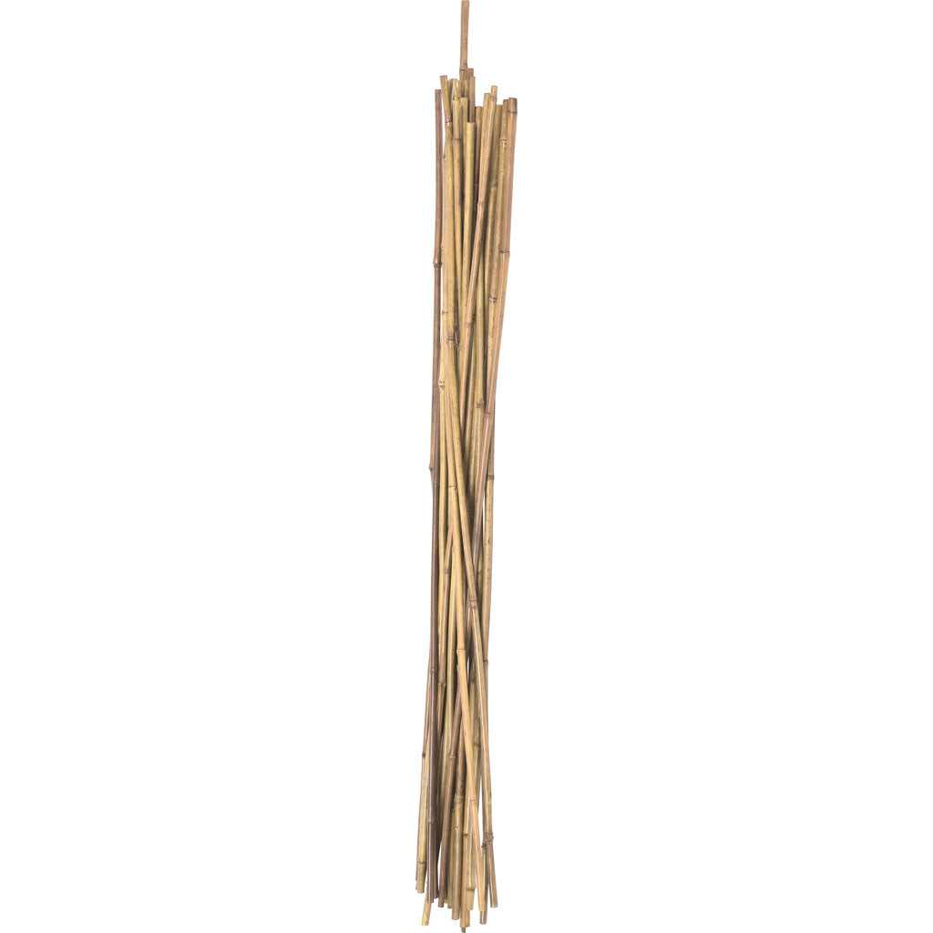 Natural Packaged Bamboo Stakes (6 FT-6 PK)