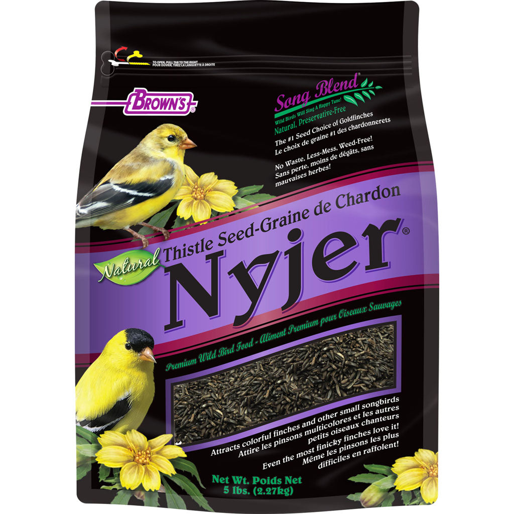 Song Blend Thistle Seed Nyjer (5 LB)