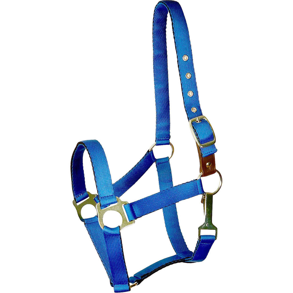 Gatsby Ultra Soft Nylon Safety Halter (ROYAL BLUE, PONY)