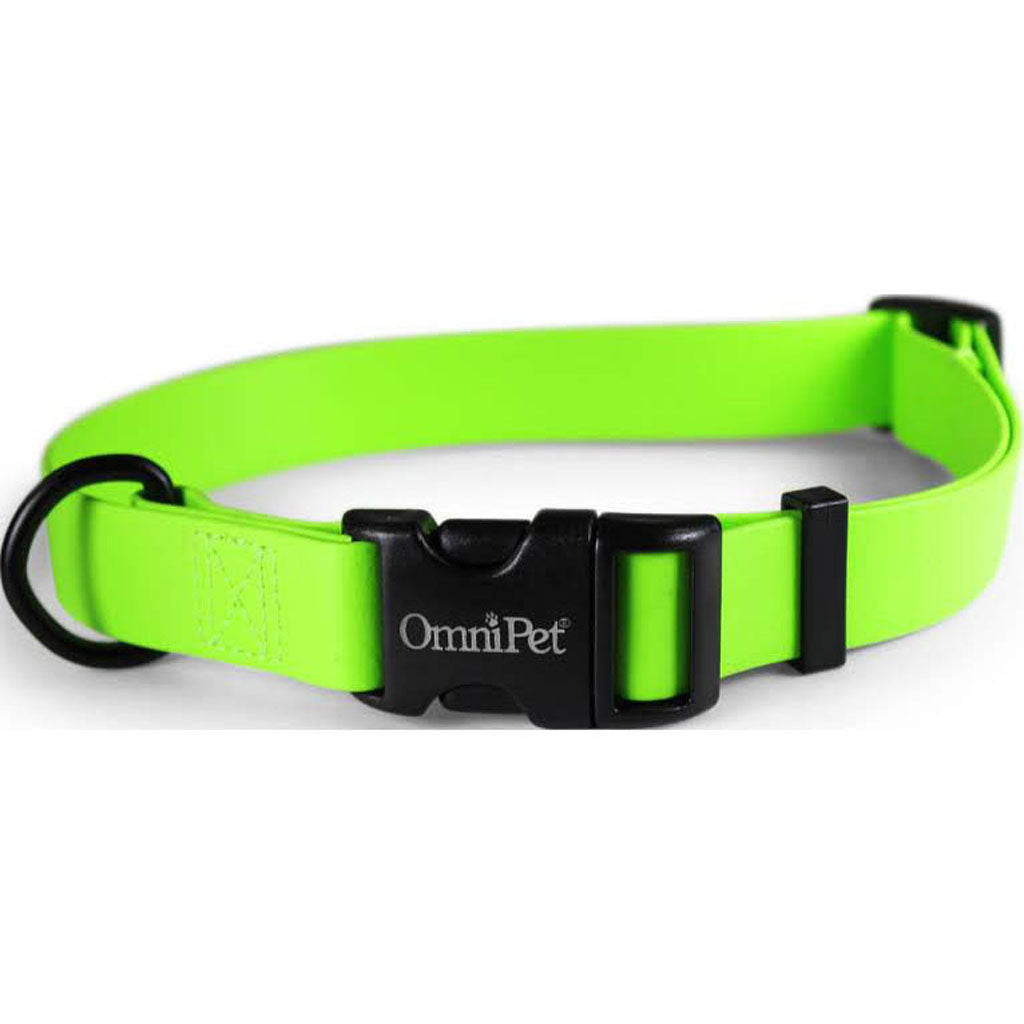 Carnival Biothane Dog Collar (LIME GREEN, 1 X 18 X 26 IN)