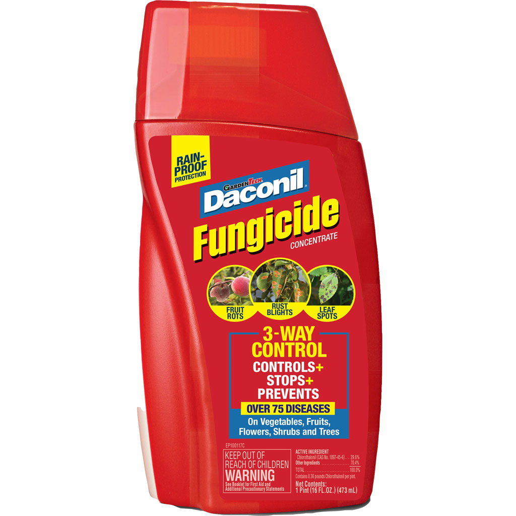 Daconil Fungicide Concentrate (1 PT)