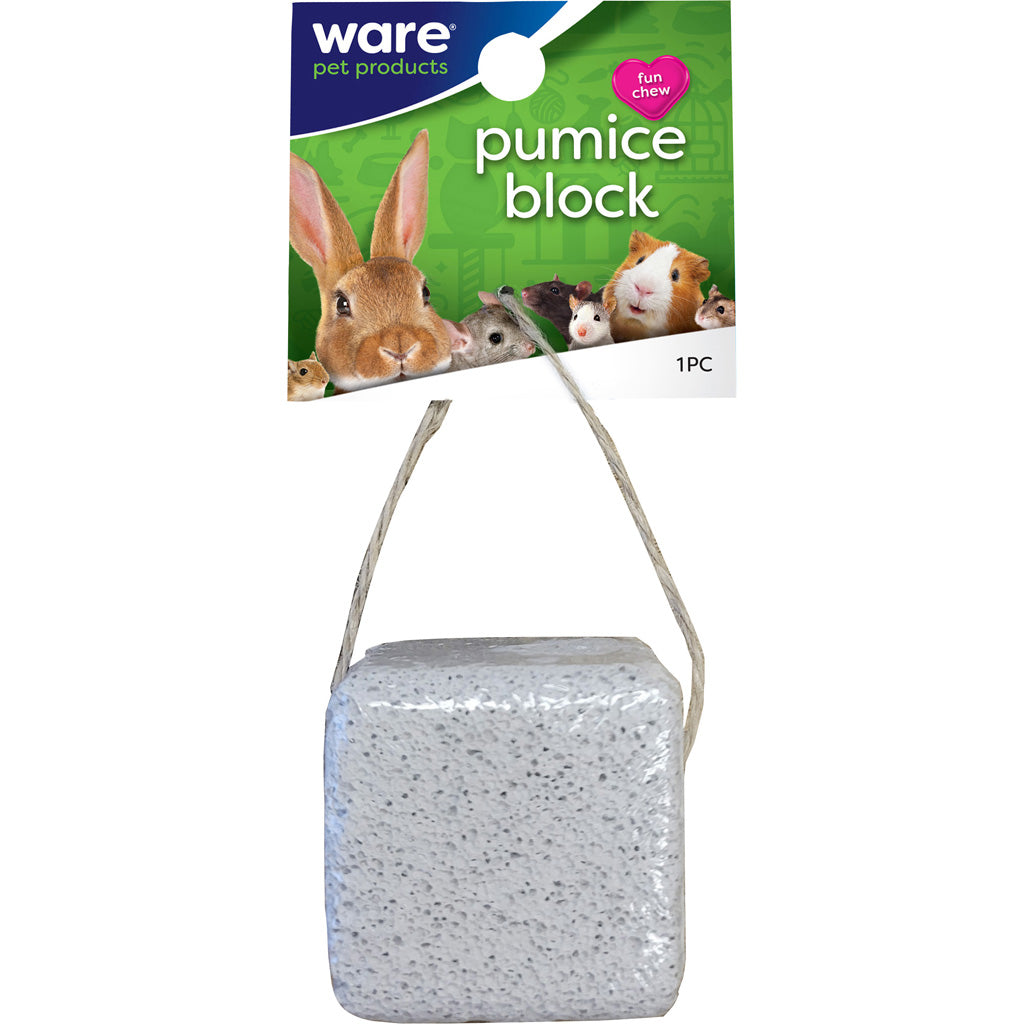 Pumice Block W/Jute String (1 PC)