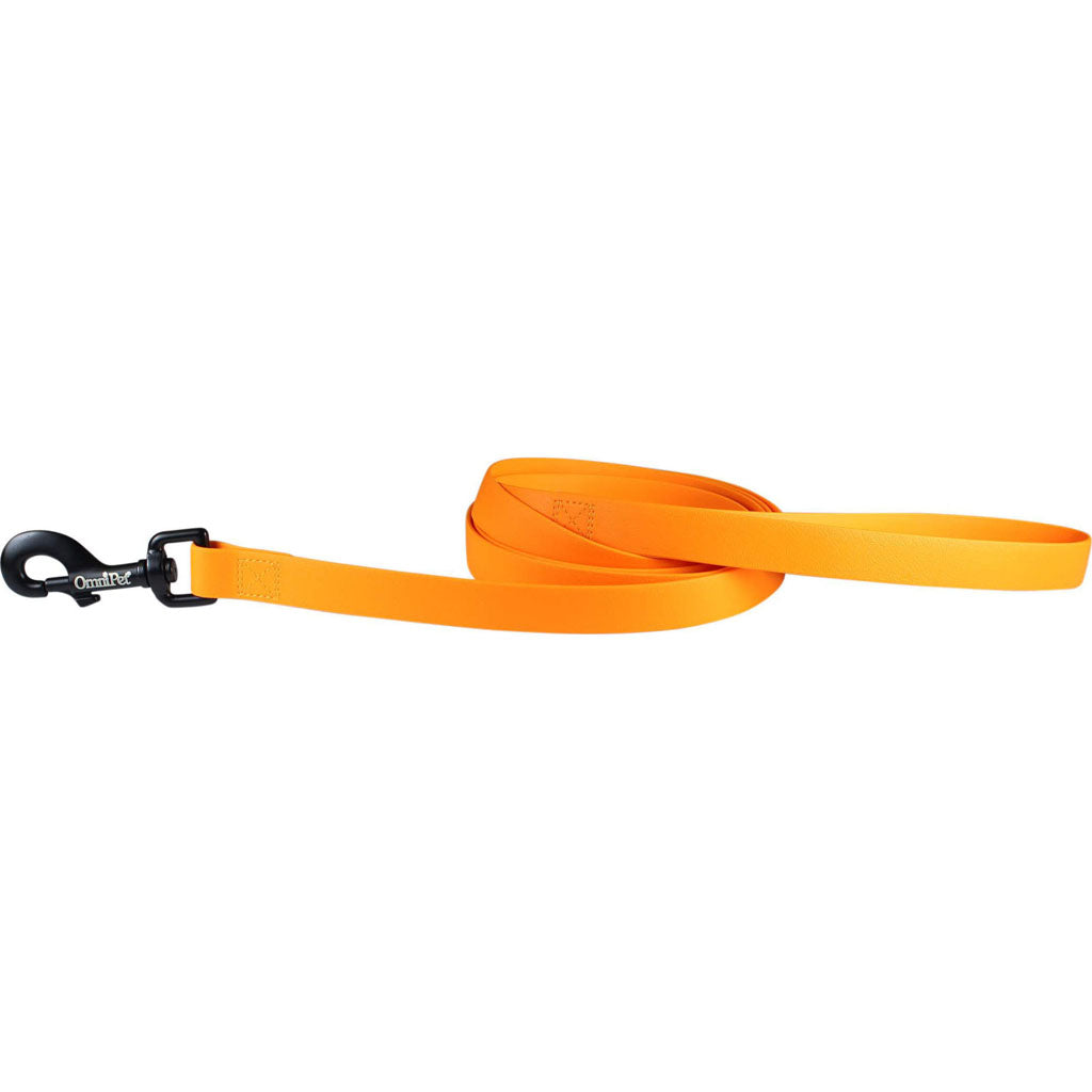 Carnival Biothane Dog Lead (ORANGE, 3/4 IN X 6 FT)