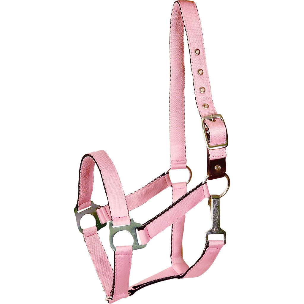 Gatsby Ultra Soft Nylon Safety Halter (PINK, FOAL)
