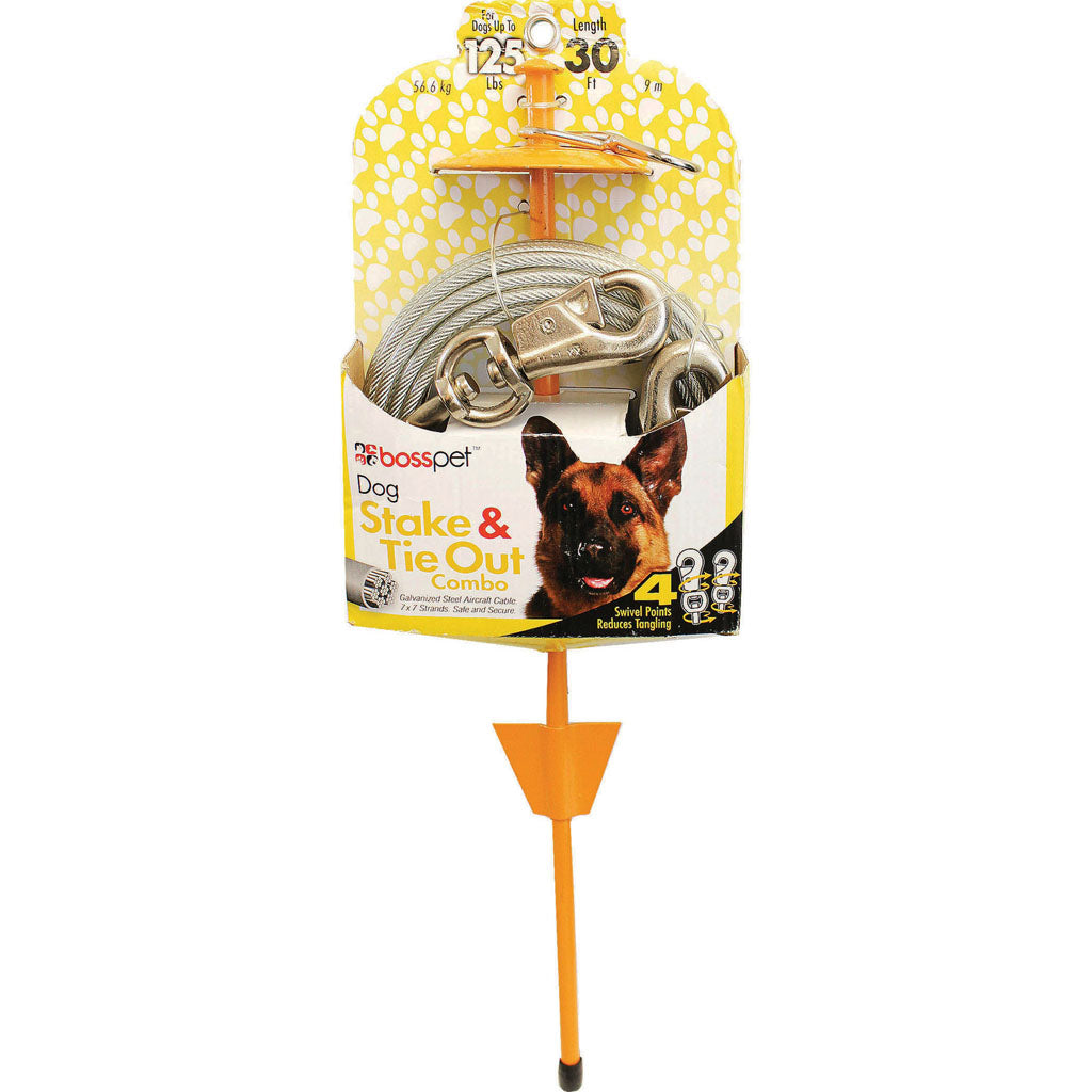 Boss Pet Tie-Out/Dome Stake Combo (30 FT)