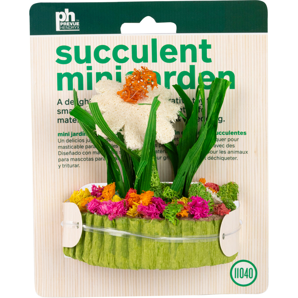 Succulent Minigarden (3.38X3.38X3.75)