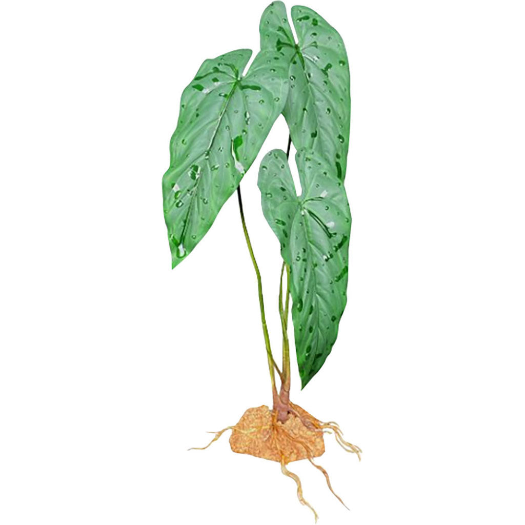 Komodo Emerald Vine Standing Plant (GREEN, 11.8 IN)