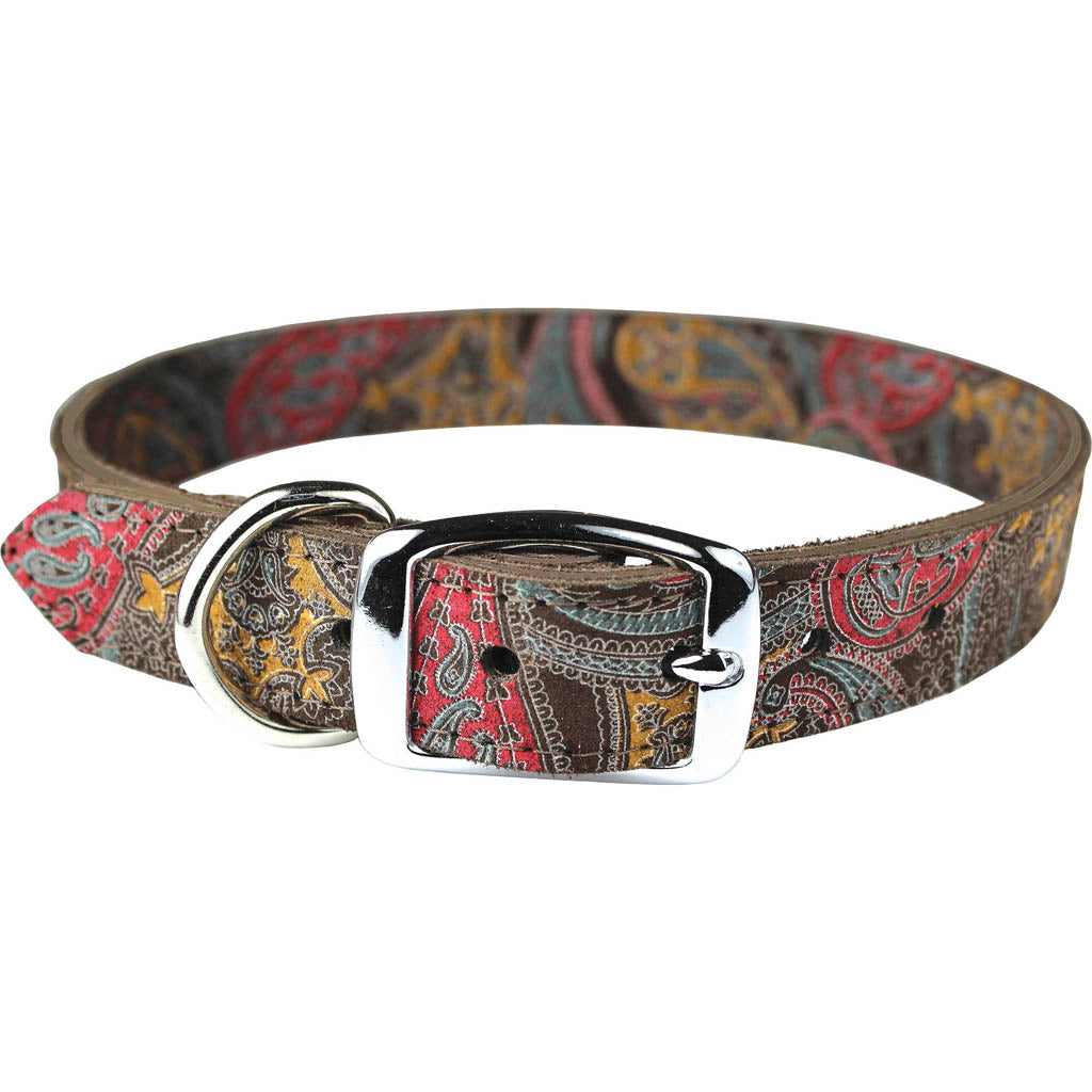 Leather Paisley Dog Collar (CHOCOLATE, 1/2X14IN)