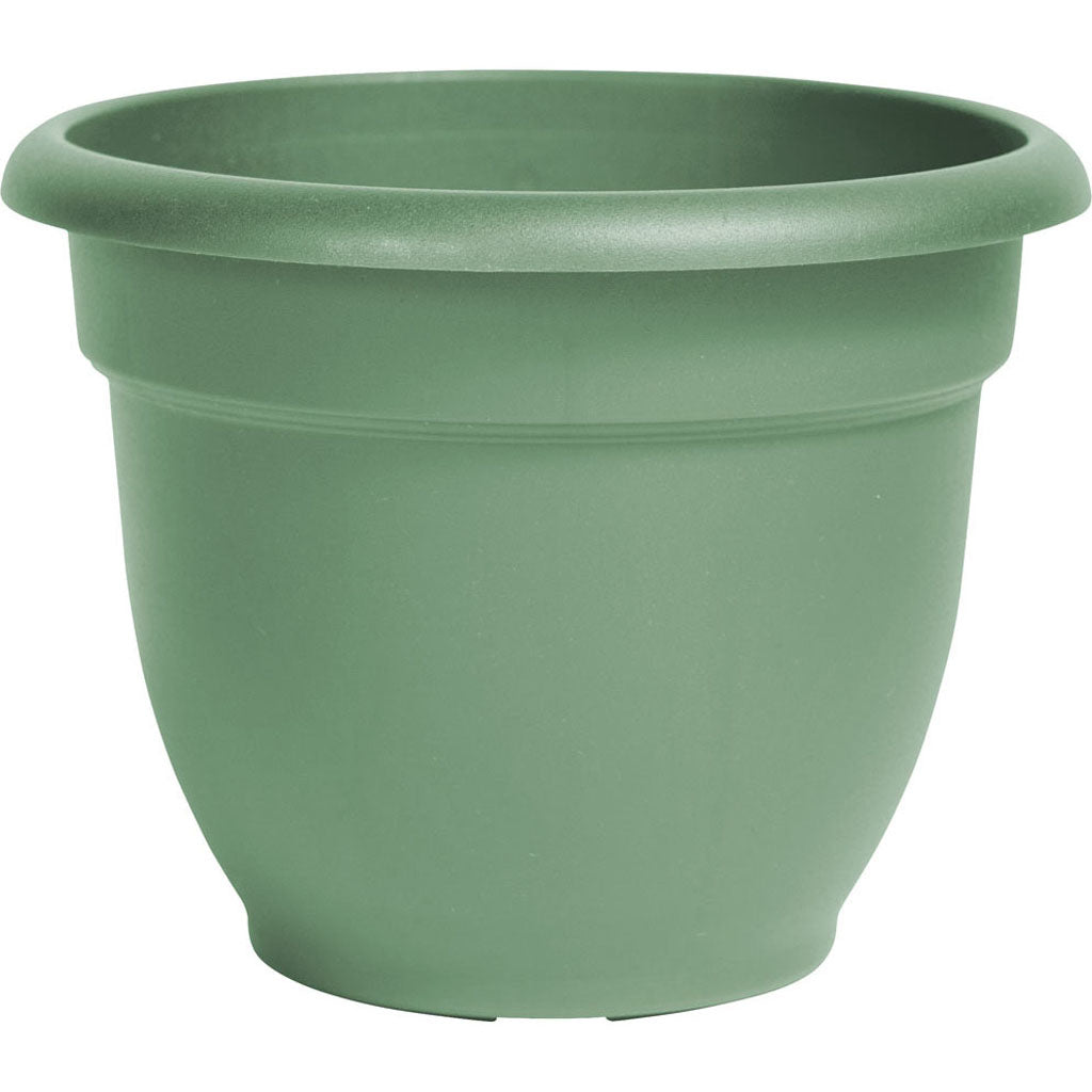 Bloem Ariana Planter (LIVING GREEN, 12 IN)