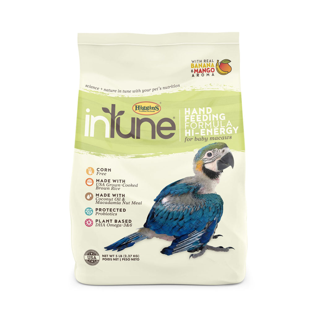 Intune Hand Feed Formula Hi Energy Macaw (5 LB)