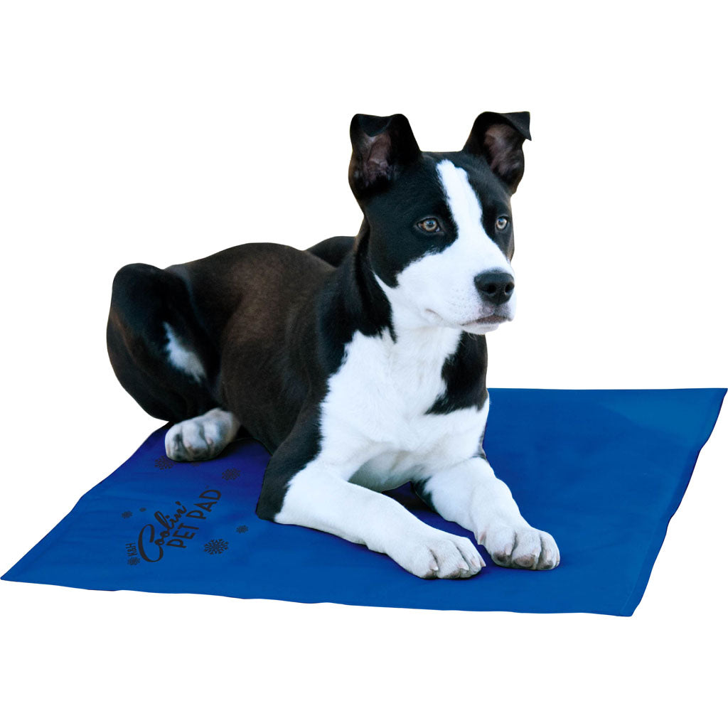 K&H Coolin' Pet Pad (BLUE, LG)