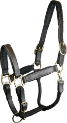 Gatsby Adjustable Padded Leather Halter (HAVANA, HORSE)