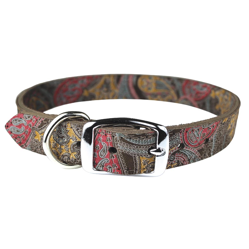 Leather Paisley Dog Collar (CHOCOLATE, 3/4X16IN)