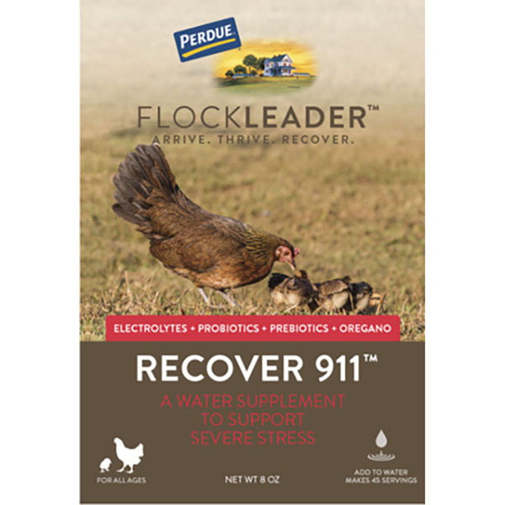 Perdue Flockleader Recover 911 Poultry Supplement (POWDER, 8 OZ)