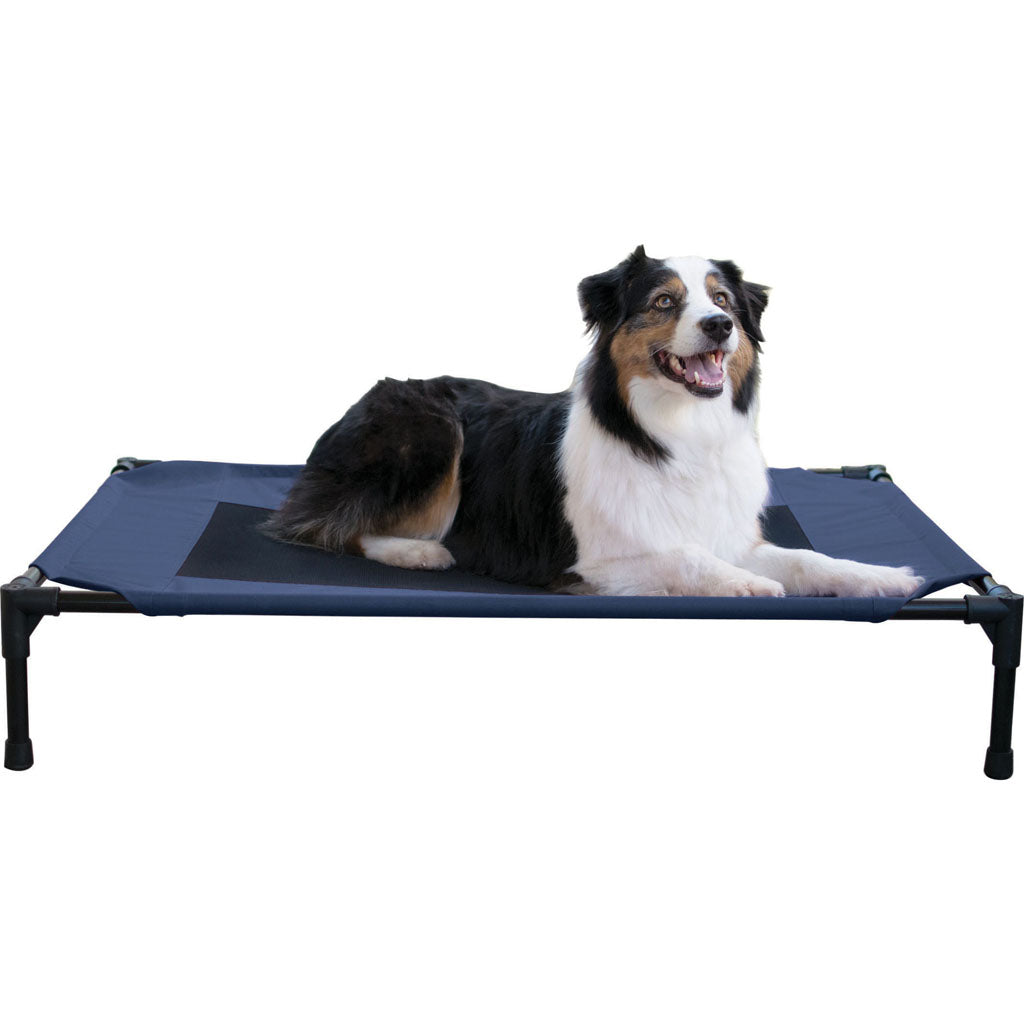 Creative Solutions Elevated Pet Bed (BLUE, LG-30X42 IN)