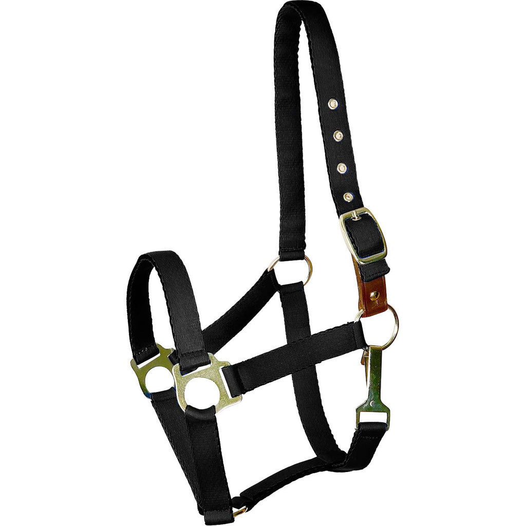 Gatsby Ultra Soft Nylon Safety Halter (BLACK, HORSE)