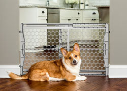 Plastic Expandable Pet Gate (GRAY, 28-42X23 IN)