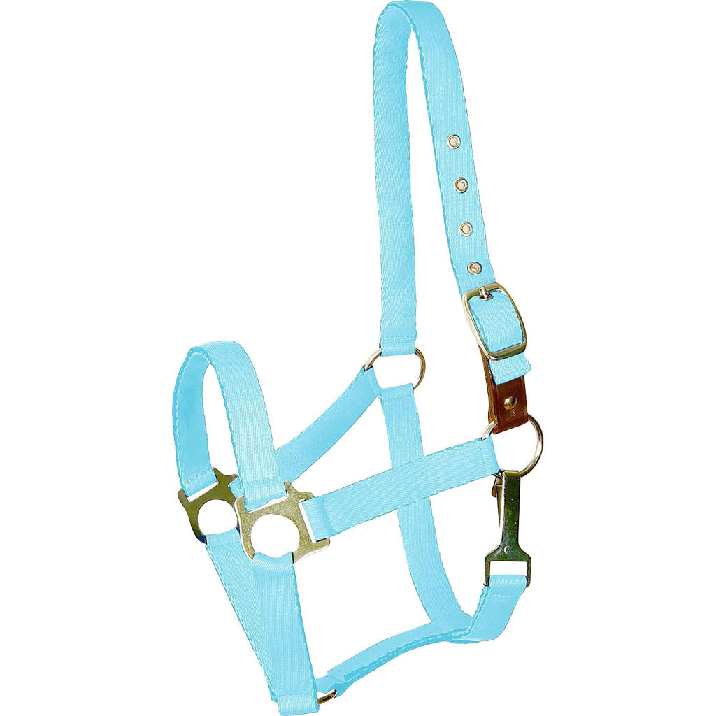 Gatsby Ultra Soft Nylon Safety Halter (BABY BLUE, FOAL)