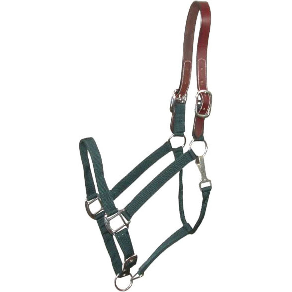 Gatsby Nylon Breakaway Halter (GREEN, HORSE)
